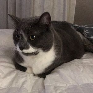 Meet your Posher, Ida